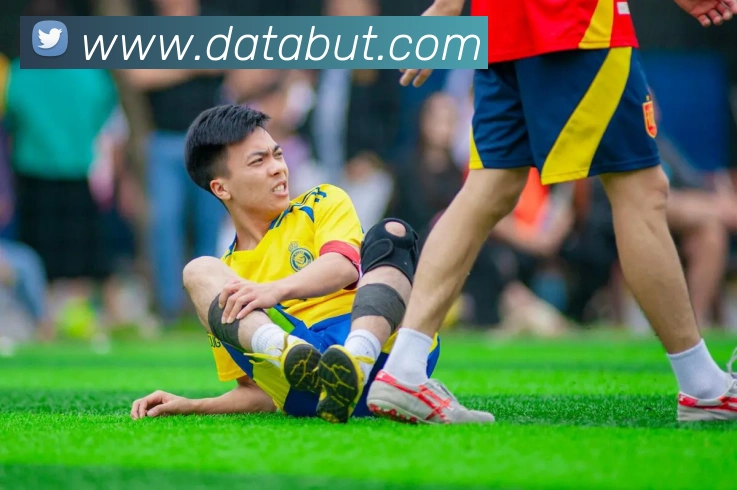 App Interface Preview